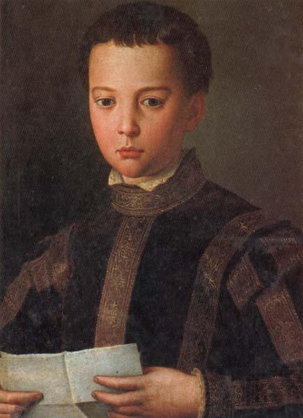 Agnolo Bronzino Portrait of Francesco I as a Young Man Norge oil painting art
